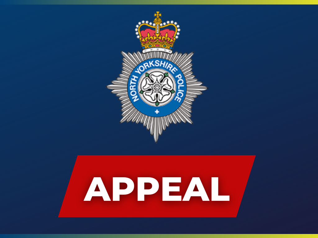 Selby: Appeal following serious collision on the A63 Main Road at Hambleton 