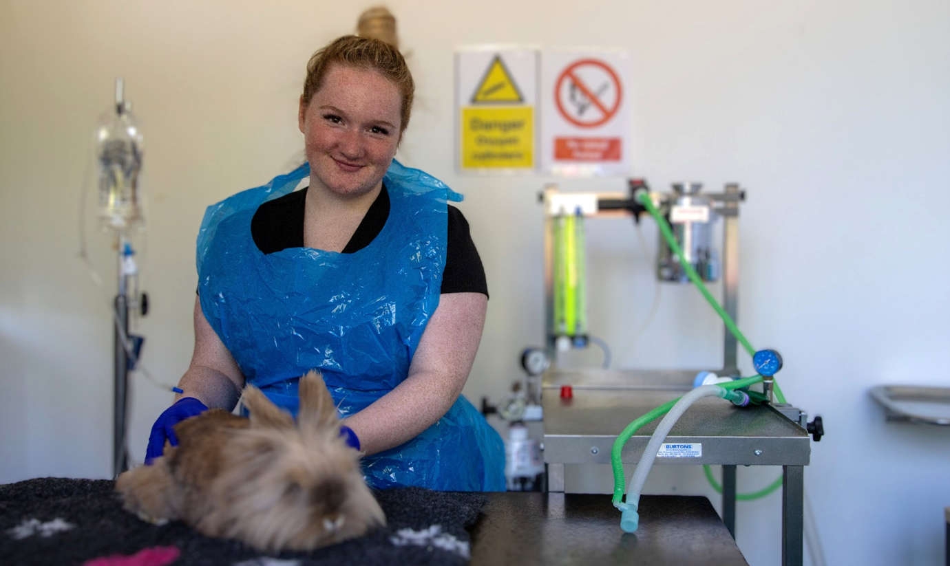 College Introduces OneofaKind Vet Nursing Opportunity Cornwall's