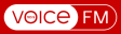 Logo for Voice FM Southampton