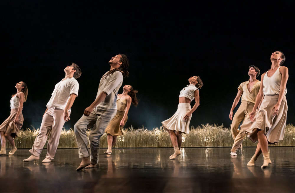 Paysage Photo credit Johan Persson