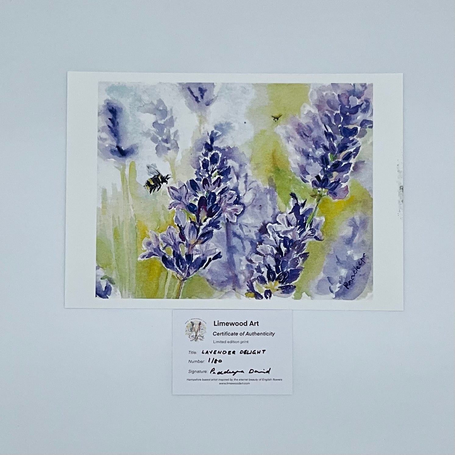Lavender Delight by Pradeeper David