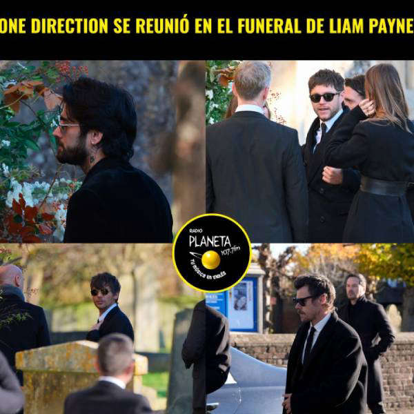 one direction despide a liam payne 