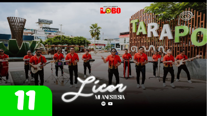 'Licor, mi anestesia'