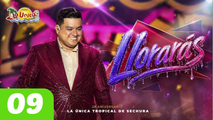'Llorarás'