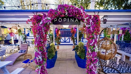 Popina Colchester 2026